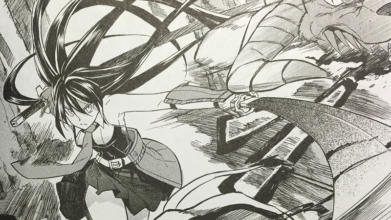 Illustration for article titled Akame ga Kill! Vol. 4 - Manga Review